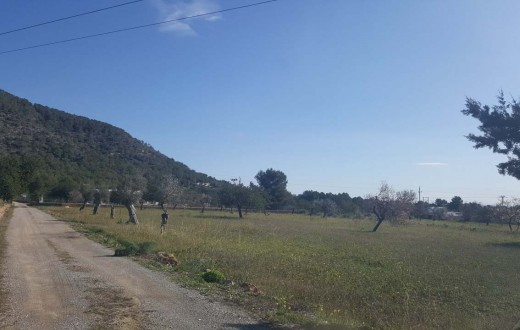 Terreno Ibiza Ref: FIRH/0044